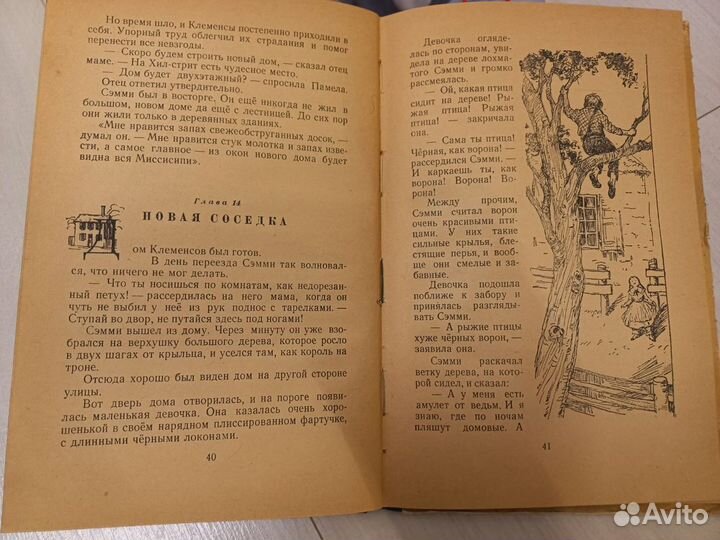 Книга. Мальчик с великой Миссисипи