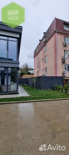 Рулонный газон