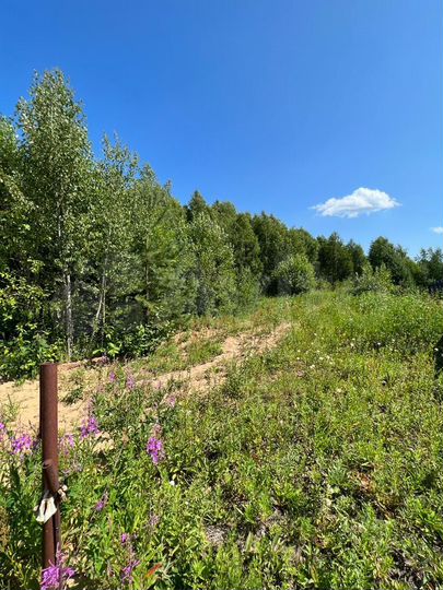 Участок 21,1 сот. (ИЖС)