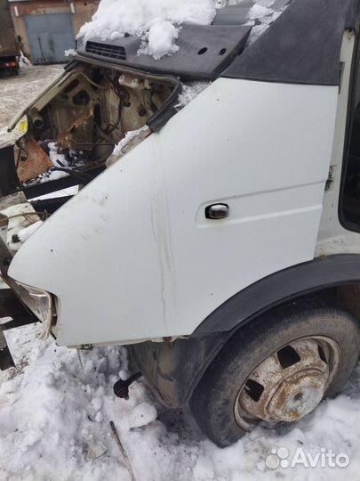 Крылья газель