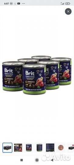 Корм для собак