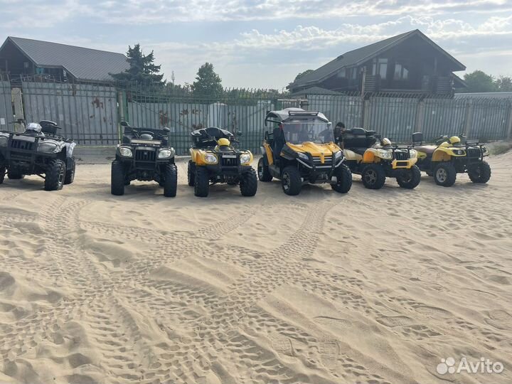 Квадроцикл на прокат