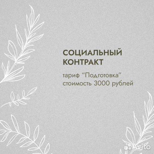 Социальный контракт, консультация, бизнес-план