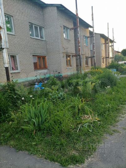 2-к. квартира, 51,5 м², 2/2 эт.