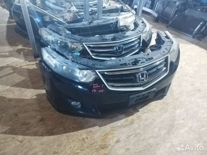 Ноускат honda accord 8