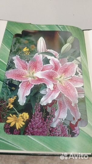 Папка с открыткой к юбилею