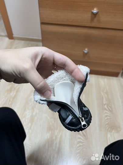 Обувь для средних собак