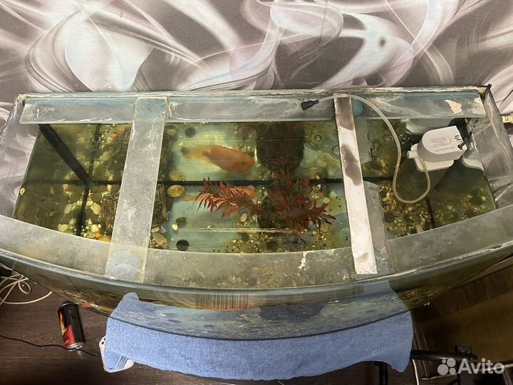 Аквариум на 150 литров
