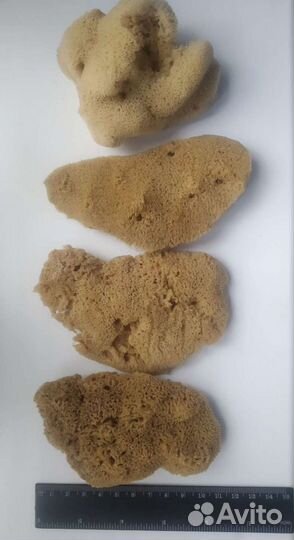 Натуральная морская губка