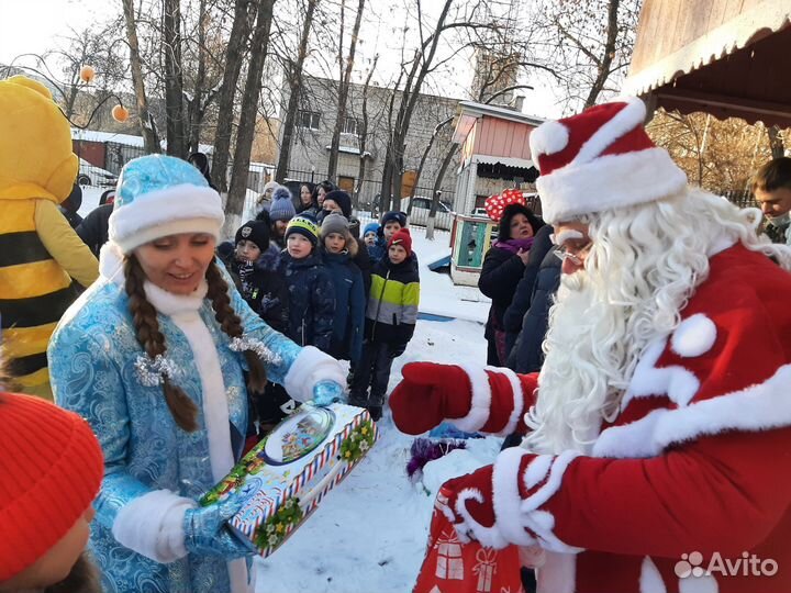 Дед Мороз и снегурочка на дом