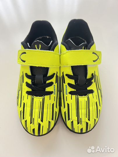 Сороконожки