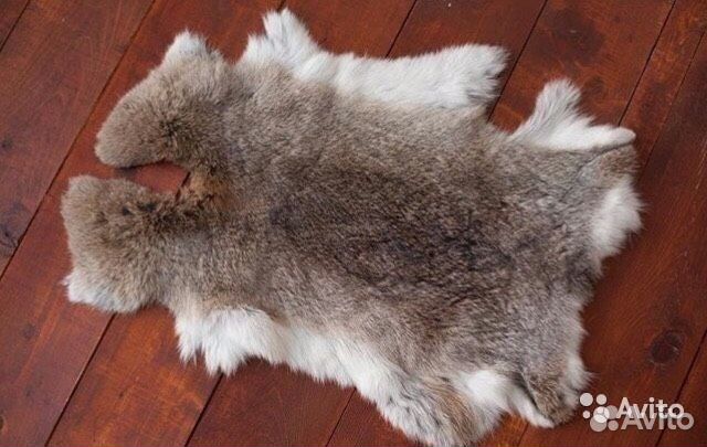 Шкурки кролика