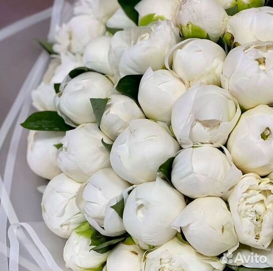 Пионы Букет пионов Доставка цветов