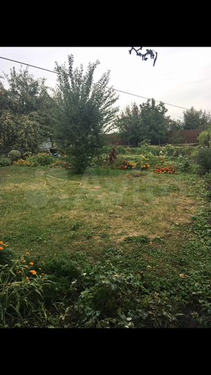 Дача 52 м² на участке 16 сот.