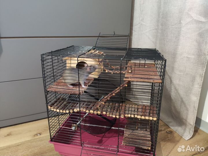 Клетка для хомяка