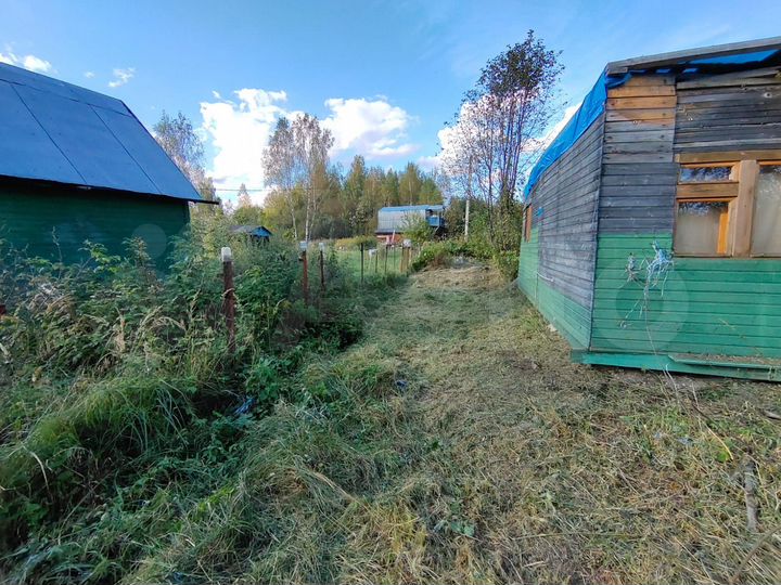 Участок 10,9 сот. (СНТ, ДНП)