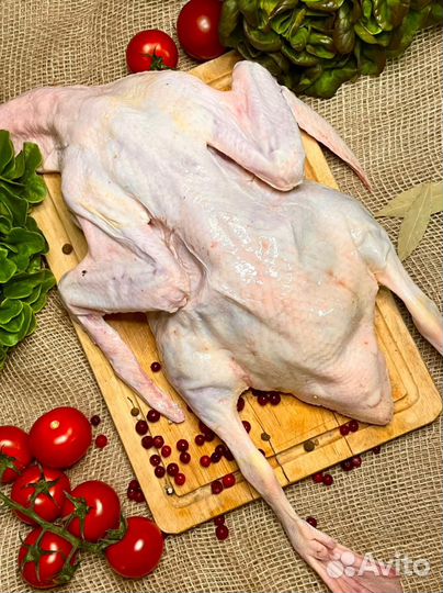 Мясо утки фермерское