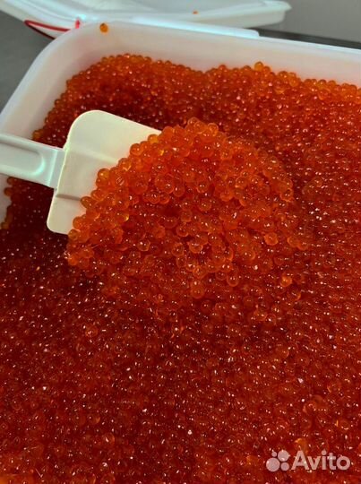 Красная икра оптом