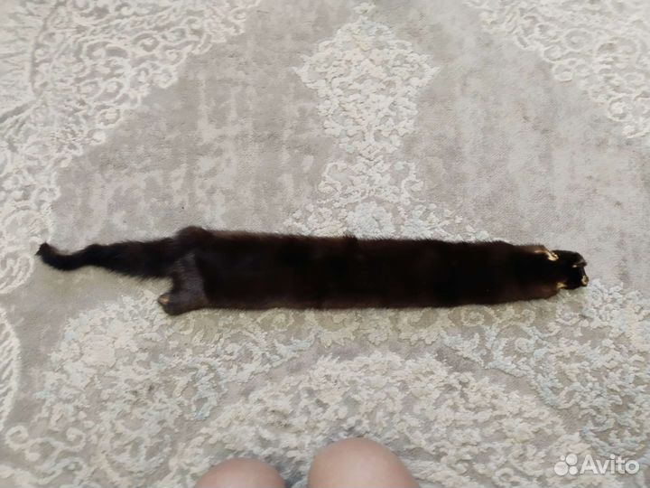 Норка шкурка целая