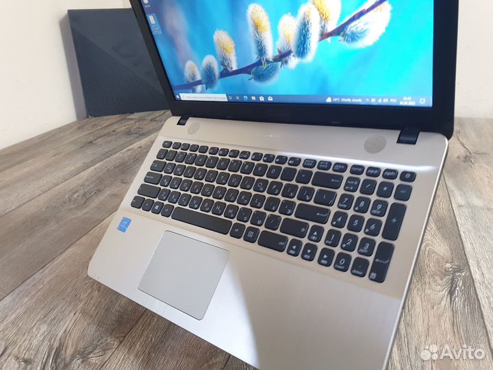 Asus для дома и учебы