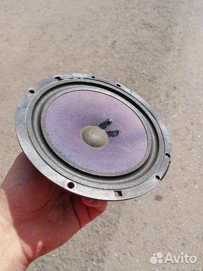 Штатные динамики Octavia tour