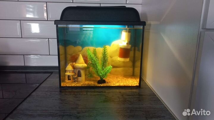 Аквариум 20 литров