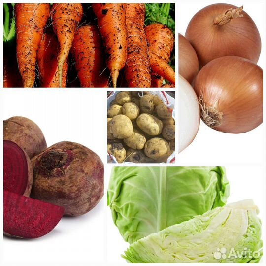Овощи морковь, свекла, картофель, капуста, лук