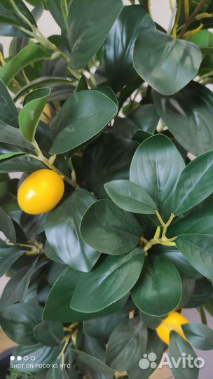 Искусственное дерево лимон