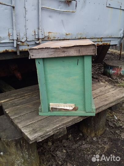 Ловушка для пчел