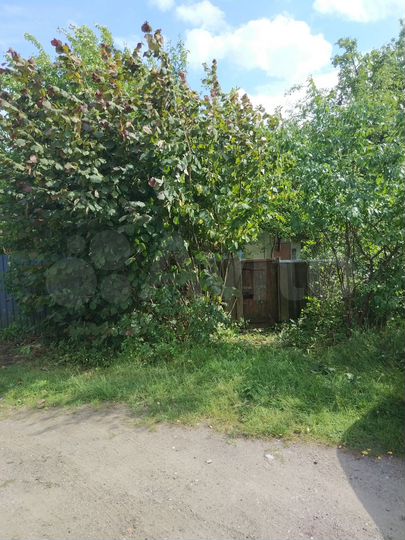 Участок 8,1 сот. (СНТ, ДНП)