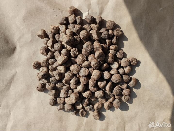 Сухой корм для собак