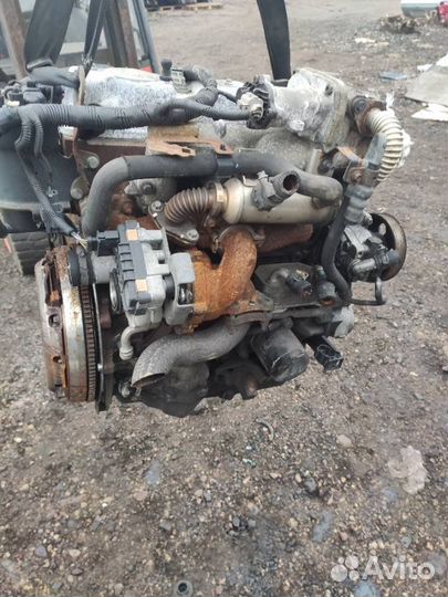 Двигатель, Ford Focus 2 (2005 - 2008) 2007