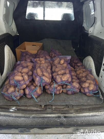 Картофель с доставкой