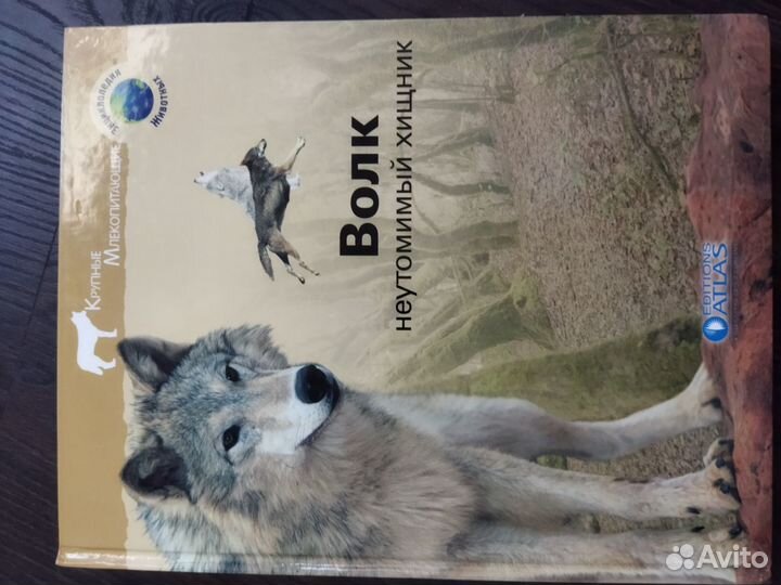 Книга детская позновательная