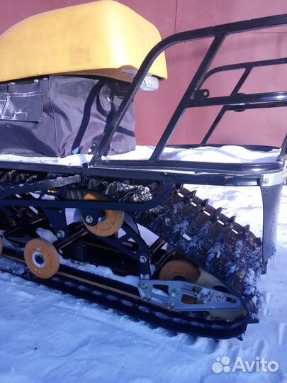 Dingo T150 2015