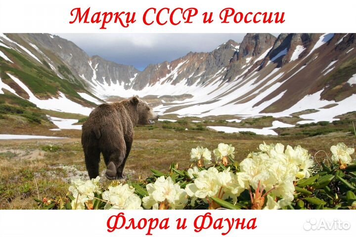 Почтовые Марки России и СССР Флора Фауна Животные