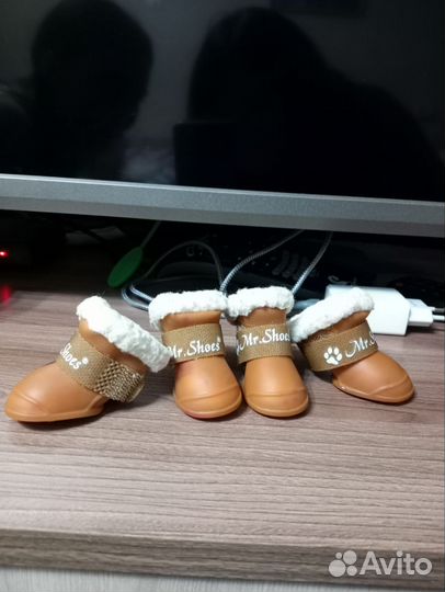 Одежда для животных