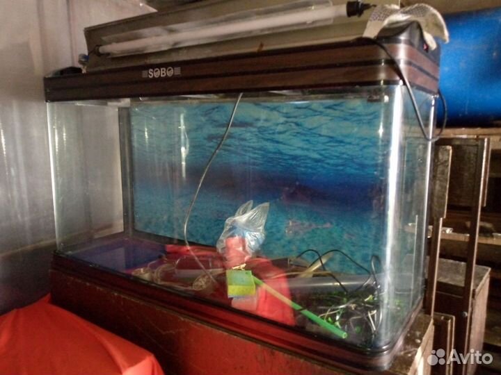 Аквариум
