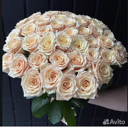 51роза с доставкой, кремовые розы