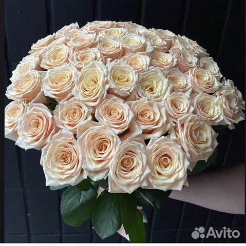 51роза с доставкой, кремовые розы