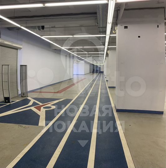 Торговая площадь, 1500 м²