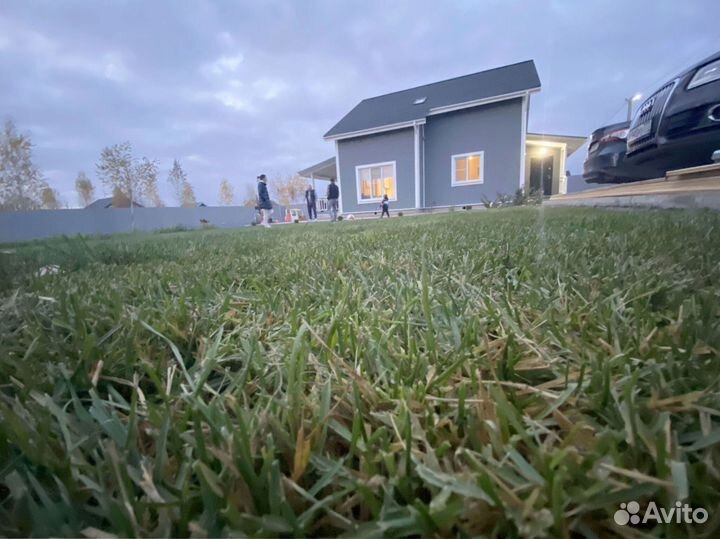 Рулонный газон премиального качества