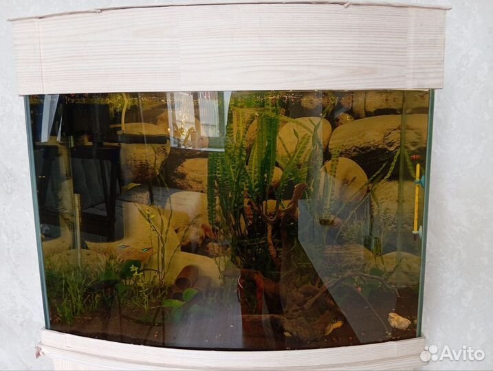 Аквариум с тумбой бу