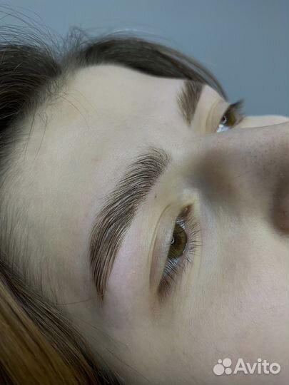 Мастер бровист