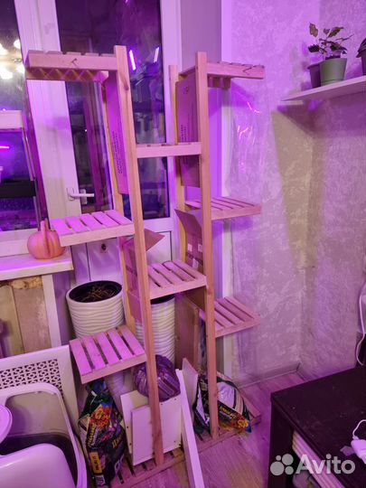 Полка для растений