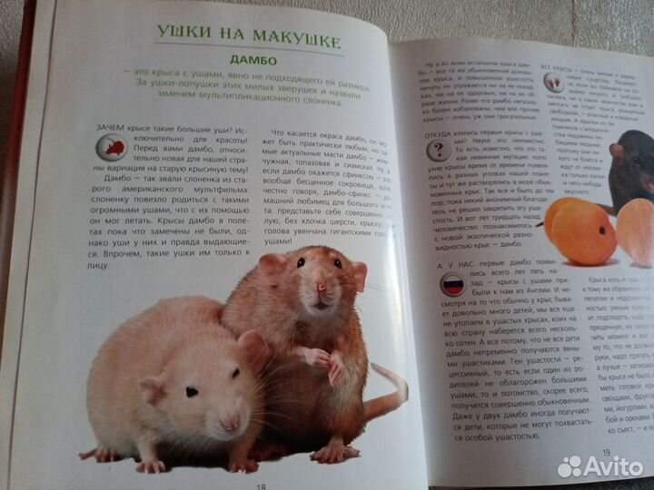 Волкова Неведомы зверюшки