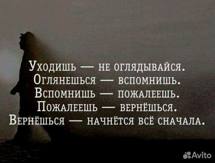 13 Коньки динамо (пластик )