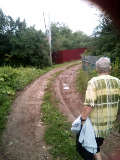 Участок 4 сот. (СНТ, ДНП)