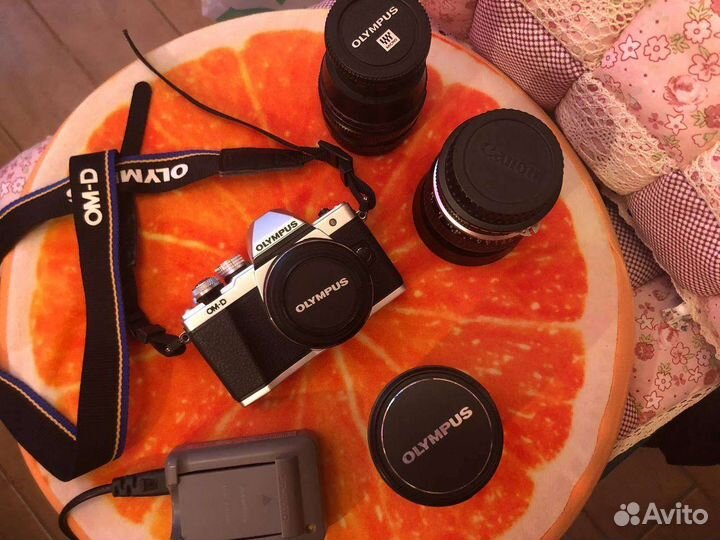 Системный фотоаппарат Olympus OM-D E-M10 Mark II