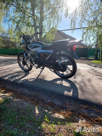 Motoland Альфа RX 11